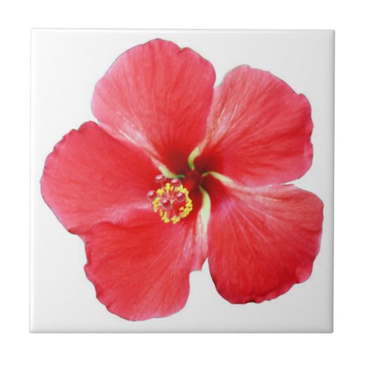 Red Hawaiian Hibiscus Flower Tile Tegeltje (Voorkant)