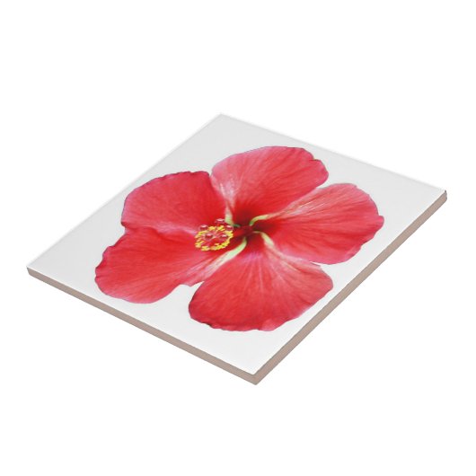 Red Hawaiian Hibiscus Flower Tile Tegeltje (Zijkant)