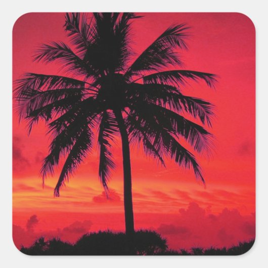 Red Hawaiian Sunset Exotic Palm Trees Vierkante Sticker (Voorkant)