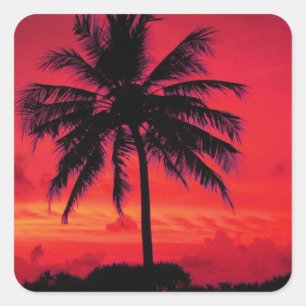 Red Hawaiian Sunset Exotic Palm Trees Vierkante Sticker