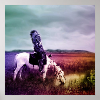 Red Hawk bij een Oasis in de badlands Poster