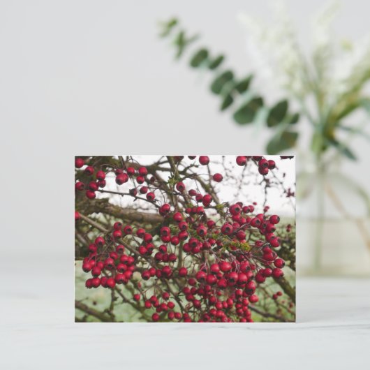 Red Hawthorn Berries Briefkaart (Staand voorkant)
