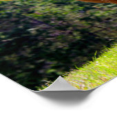 Red-Hazard Texas Longhorn Poster (Hoek)