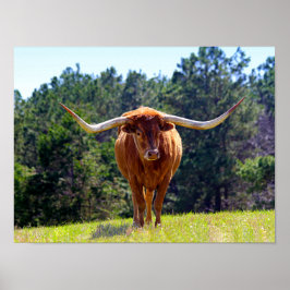 Red-Hazard Texas Longhorn Poster