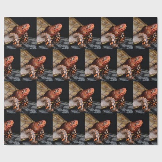 Red Head Eastern Box Turtle Cadeaupapier (Vlak)
