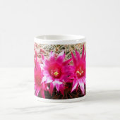 Red Headed Irishman Cactus, ! Koffiemok (Center)