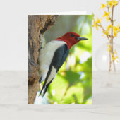 Red-headed Specht Kaart (Gele Bloem)