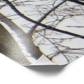 Red Headed Woodpecker Foto Afdruk (Hoek)