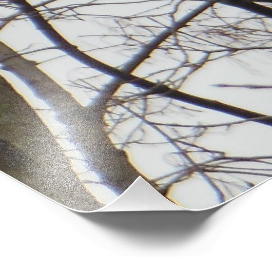 Red Headed Woodpecker Foto Afdruk (Hoek)