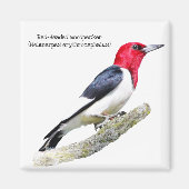 Red-Headed Woodpecker Magneet (Voorkant)