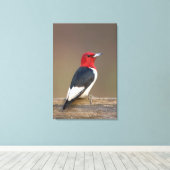Red-headed Woodpecker on fence Canvas Afdruk (Insitu (Houten vloer))