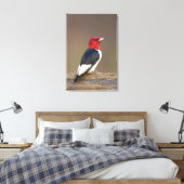 Red-headed Woodpecker on fence Canvas Afdruk (Insitu (Slaapkamer))