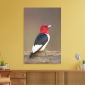 Red-headed Woodpecker on fence Canvas Afdruk (Insitu (Woonkamer))