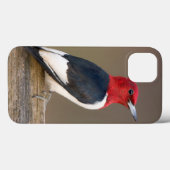 Red-headed Woodpecker on fence Case-Mate iPhone Case (Achterkant (horizontaal))