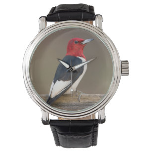 Red-headed Woodpecker on fence Horloge