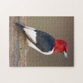 Red-headed Woodpecker on fence Legpuzzel (Horizontaal)