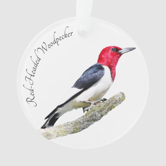 Red-Headed Woodpecker Ornament (voorkant)