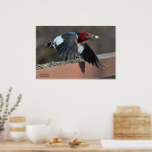 Red-Headed Woodpecker Poster (Keuken)