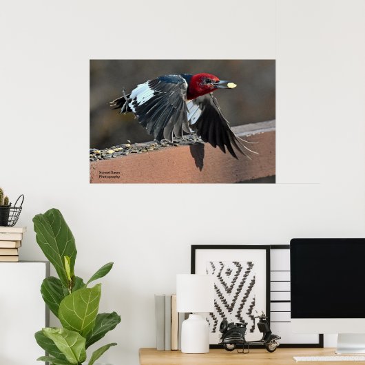 Red-Headed Woodpecker Poster (Thuiskantoor)