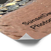 Red-Headed Woodpecker Poster (Hoek)