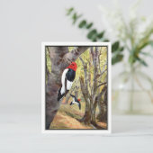 Red-Headed Woodpecker - Robert Bruce Horsfall Briefkaart (Staand voorkant)