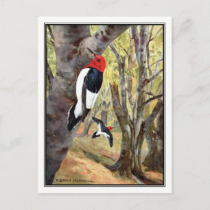 Red-Headed Woodpecker - Robert Bruce Horsfall Briefkaart