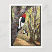 Red-Headed Woodpecker - Robert Bruce Horsfall Briefkaart (Voorkant)