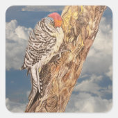 Red Headed Woodpecker Vierkante Sticker (Voorkant)