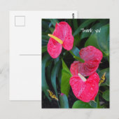 Red Heart Anthurium-Plant Briefkaart (Voorkant / Achterkant)