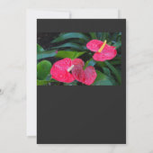 Red Heart Anthurium-Plant Kaart (Achterkant)