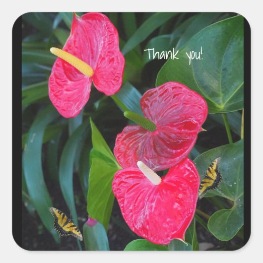 Red Heart Anthurium-Plant Vierkante Sticker (Voorkant)