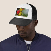 Red Heart Valentijn Green Frog Trucker Pet (In situ)