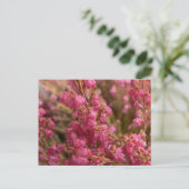 Red Heather bloemen Briefkaart (Staand voorkant)