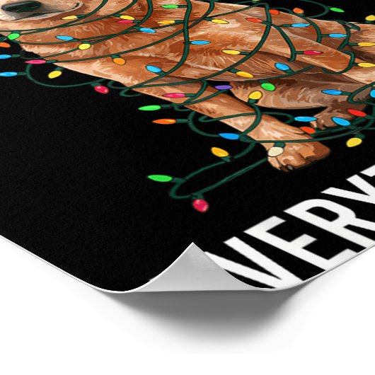 Red Heeler Christmas I'm Fine Everything Is Fine  Poster (Hoek)