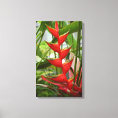 Red Heliconia Canvas Afdruk (Voorkant)