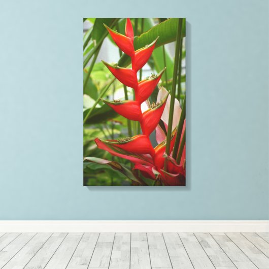 Red Heliconia Canvas Afdruk (Insitu (Houten vloer))