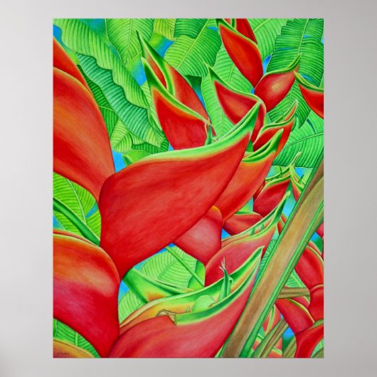 Red Heliconia Poster (Voorkant)