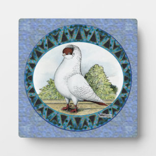 Red Helmet Pigeon Design Fotoplaat