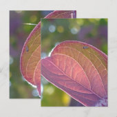Red Herfst Leaf en Bokeh Briefkaart (Voorkant / Achterkant)