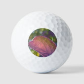 Red Herfst Leaf en Bokeh Golfballen (Voorkant)