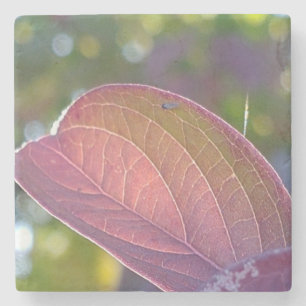 Red Herfst Leaf en Bokeh Stenen Onderzetter