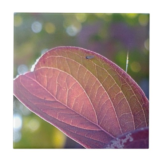 Red Herfst Leaf en Bokeh Tegeltje (Voorkant)