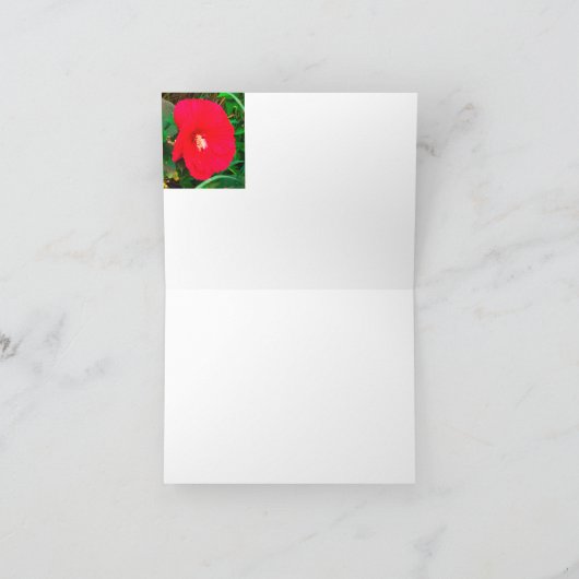 Red Hibicus Note card Notitiekaartje (Binnen)