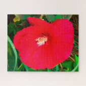 Red Hibiscus  126 X 20 Puzzle Legpuzzel (Horizontaal)