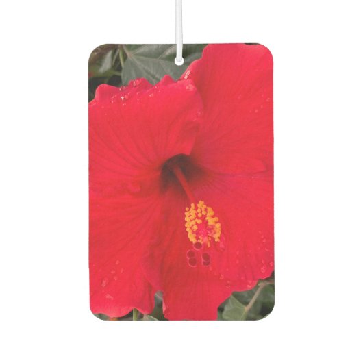Red Hibiscus Air Frehener Luchtverfrisser (Voorkant)