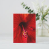 Red Hibiscus Briefkaart (Staand voorkant)
