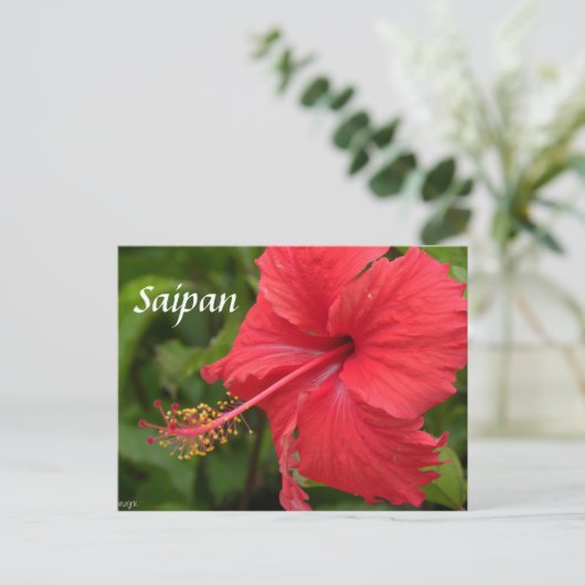 Red Hibiscus Briefkaart (Staand voorkant)