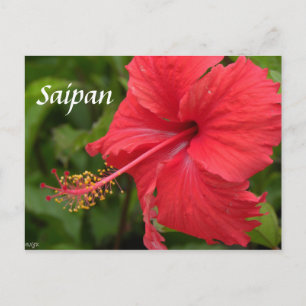 Red Hibiscus Briefkaart