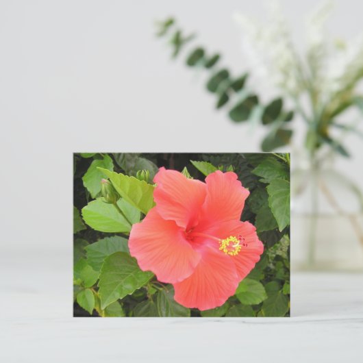 Red Hibiscus Briefkaart (Staand voorkant)