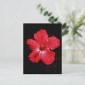 Red Hibiscus Briefkaart (Staand voorkant)